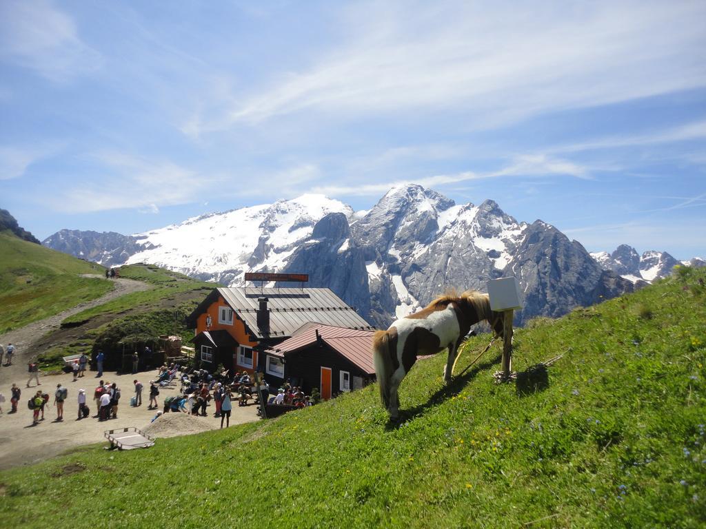 Sella Ronda Apartment Campitello di Fassa Luaran gambar